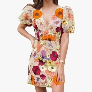 New Floral Embroidered Dress with Sheer Sleeves